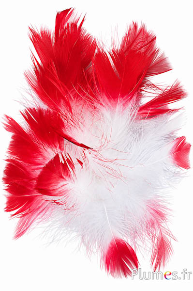 Kalkoen - Ø 18 cm - wit-rood